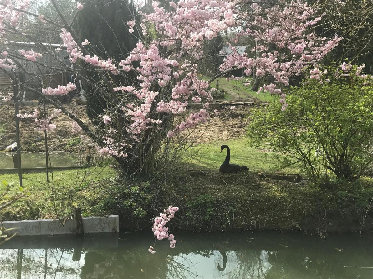 Le Moulin Calme Panzió Luceau Kültér fotó